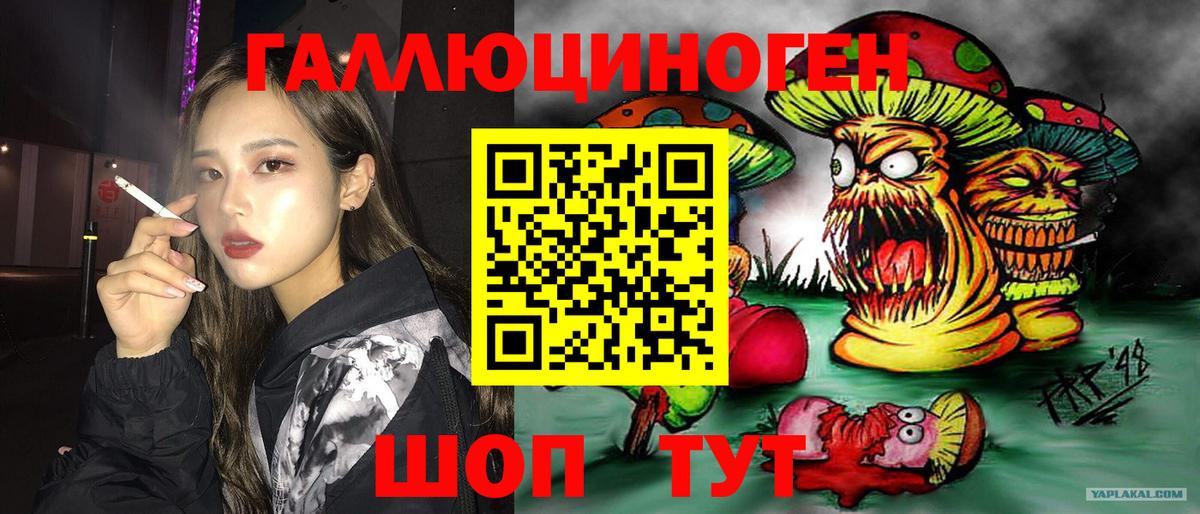 Галлюциногенные грибы Psilocybe  Вход с VPN  Малоярославец 