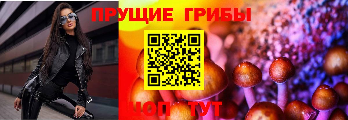 Псилоцибиновые грибы Cubensis Малоярославец